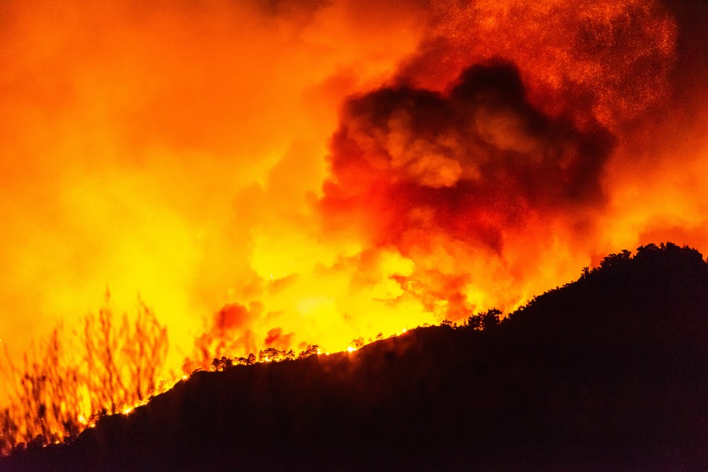 Orman yangını değil, ihmal felaketi yaşıyoruz